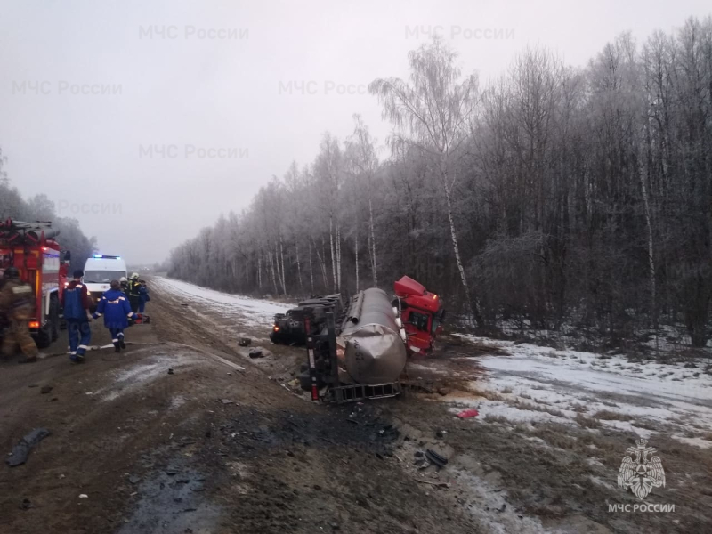 Девять человек погибли в ДТП с микроавтобусом и грузовиком под Тулой