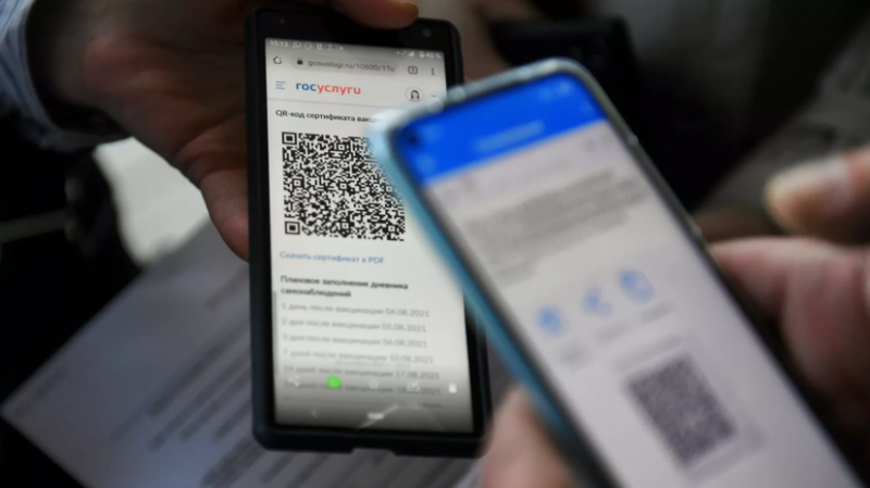 Гинцбург поддержал идею о введении QR-кодов в транспорте