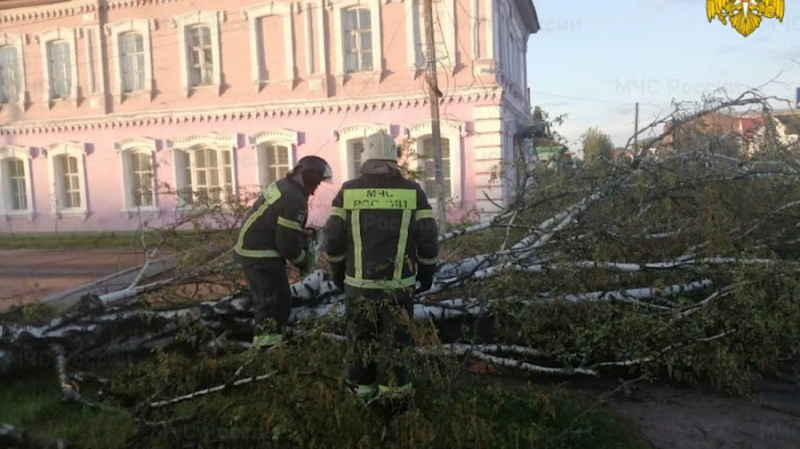 Ронял деревья, бил машины, срывал крыши домов: Ураган с грозами и песчаной бурей обрушился на Брянскую область