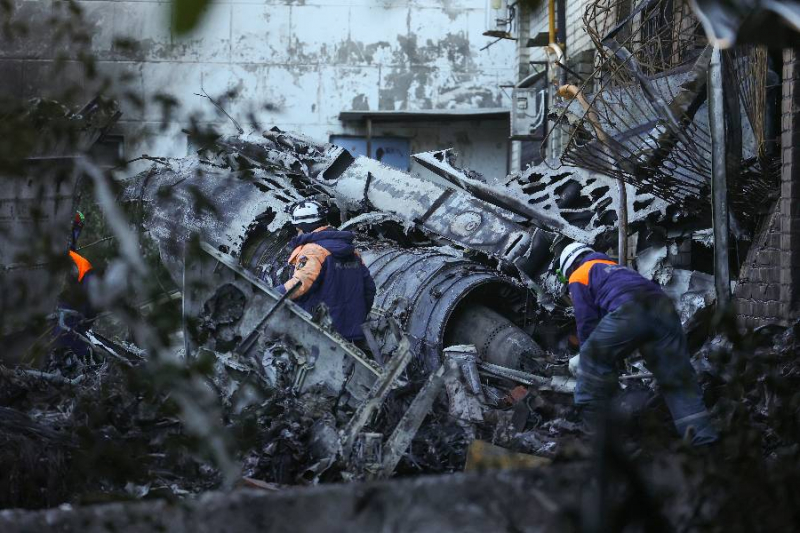 ТАСС: Су-34 потерпел крушение в Ейске из-за попадания двух птиц в двигатели